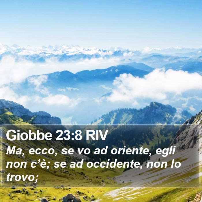 Giobbe 23:8 RIV Bible Study