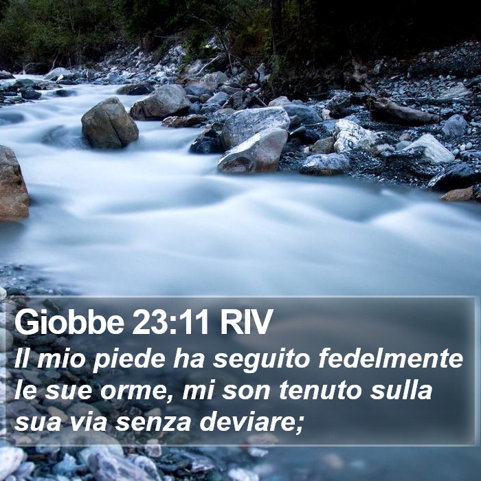Giobbe 23:11 RIV Bible Study