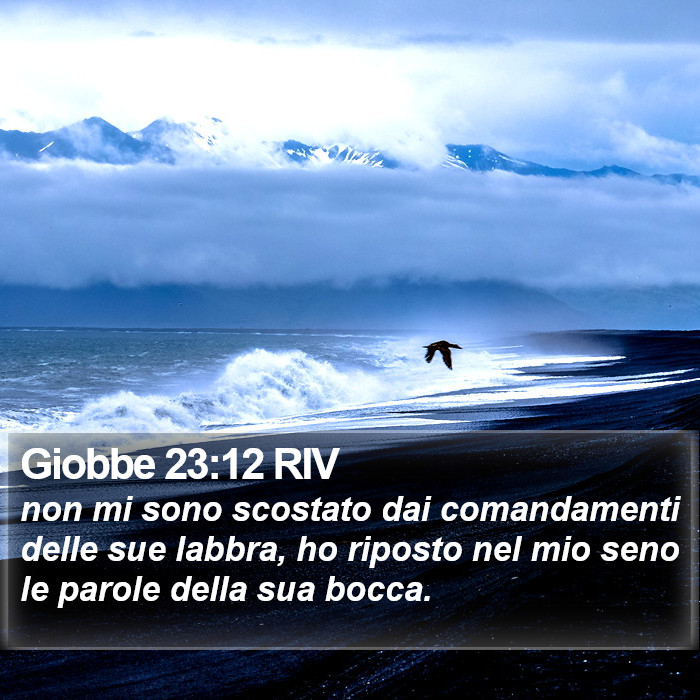 Giobbe 23:12 RIV Bible Study