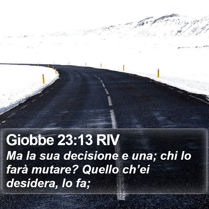 Giobbe 23:13 RIV Bible Study