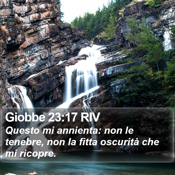 Giobbe 23:17 RIV Bible Study