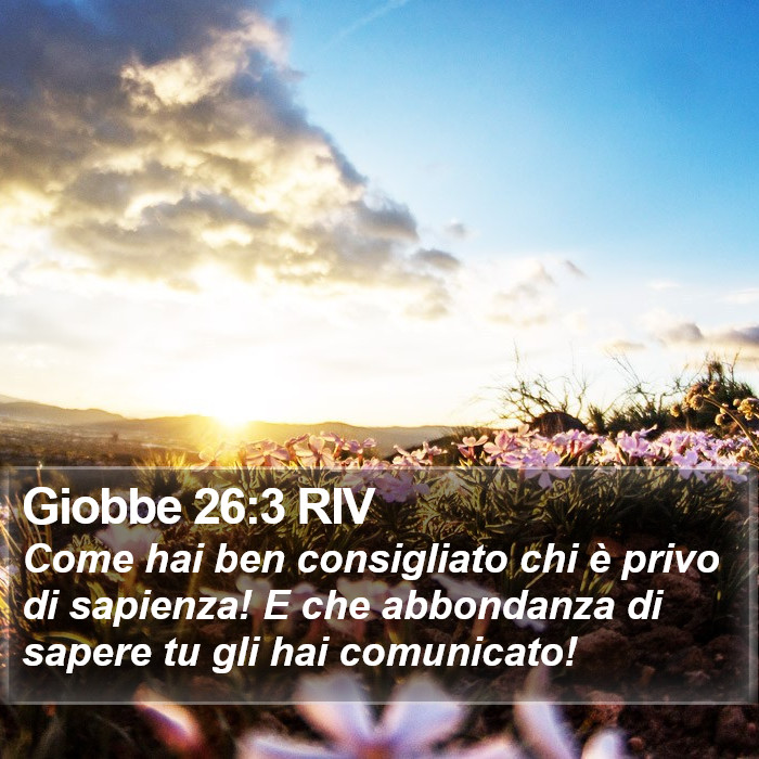 Giobbe 26:3 RIV Bible Study