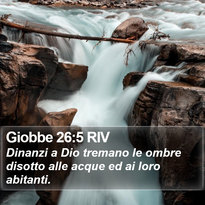 Giobbe 26:5 RIV Bible Study