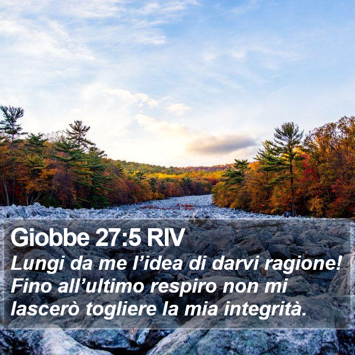 Giobbe 27:5 RIV Bible Study