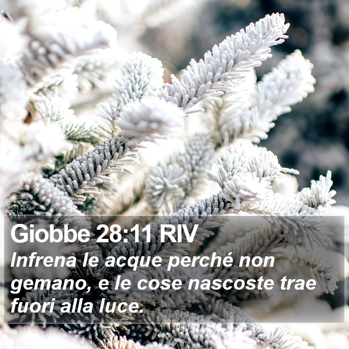 Giobbe 28:11 RIV Bible Study