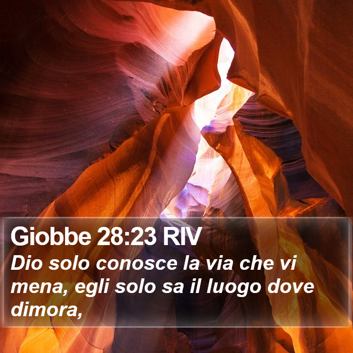 Giobbe 28:23 RIV Bible Study