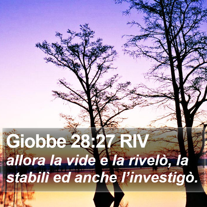 Giobbe 28:27 RIV Bible Study