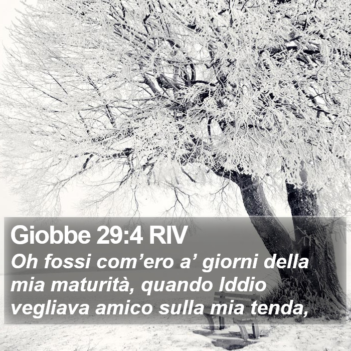Giobbe 29:4 RIV Bible Study