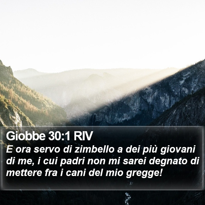 Giobbe 30:1 RIV Bible Study
