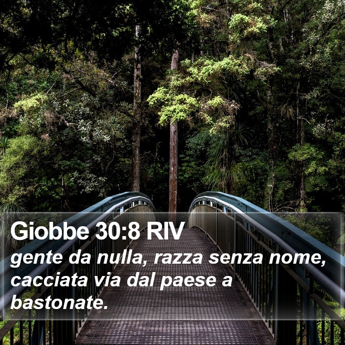 Giobbe 30:8 RIV Bible Study