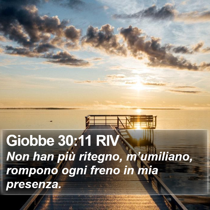Giobbe 30:11 RIV Bible Study