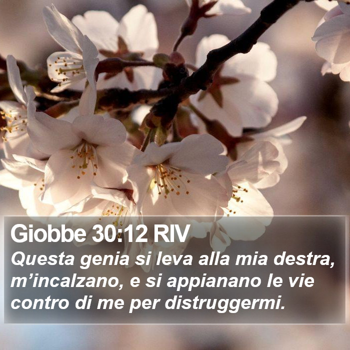Giobbe 30:12 RIV Bible Study
