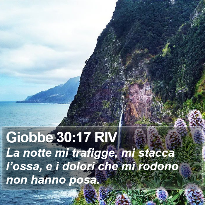 Giobbe 30:17 RIV Bible Study