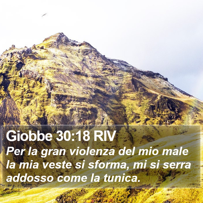 Giobbe 30:18 RIV Bible Study