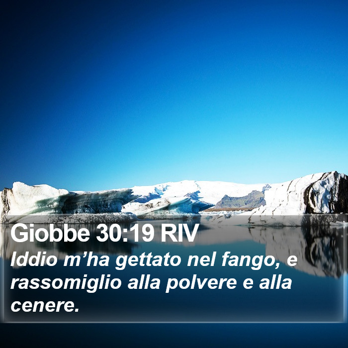 Giobbe 30:19 RIV Bible Study