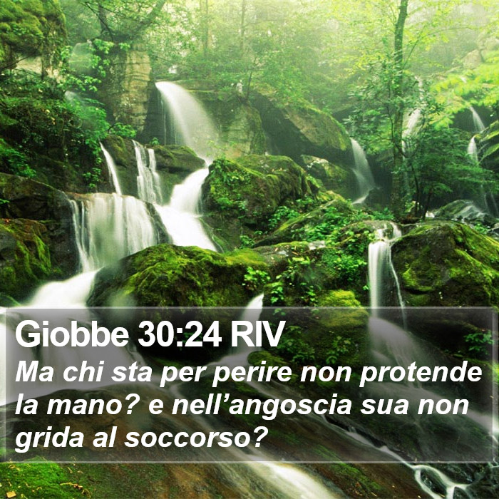 Giobbe 30:24 RIV Bible Study