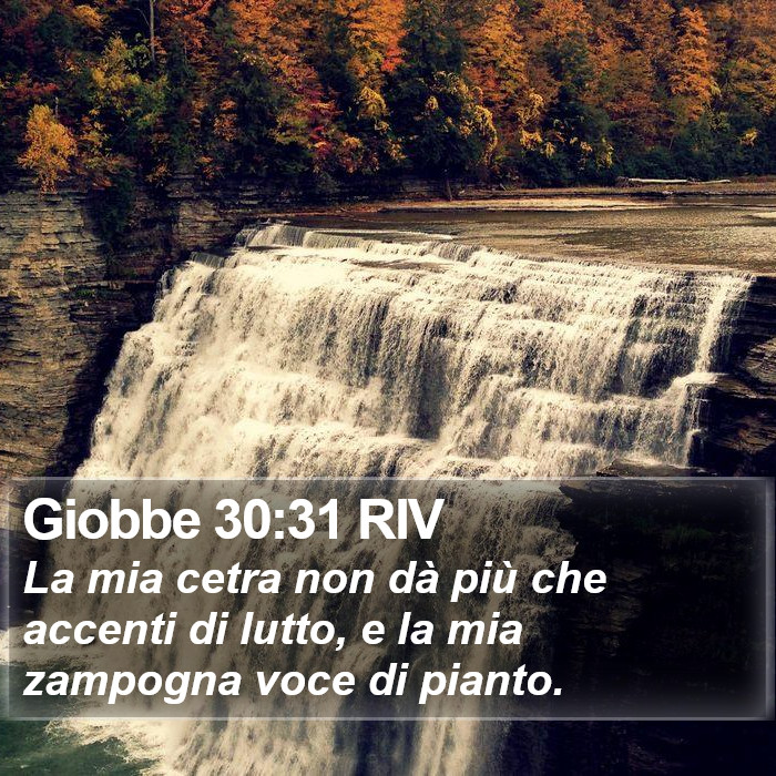 Giobbe 30:31 RIV Bible Study