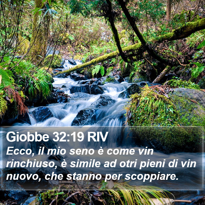 Giobbe 32:19 RIV Bible Study