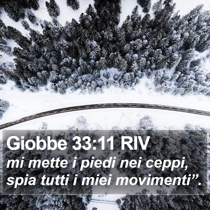 Giobbe 33:11 RIV Bible Study