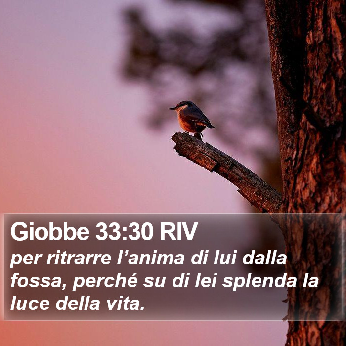 Giobbe 33:30 RIV Bible Study