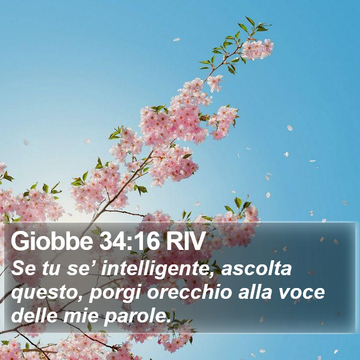 Giobbe 34:16 RIV Bible Study