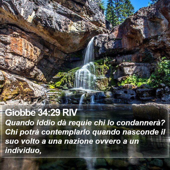 Giobbe 34:29 RIV Bible Study