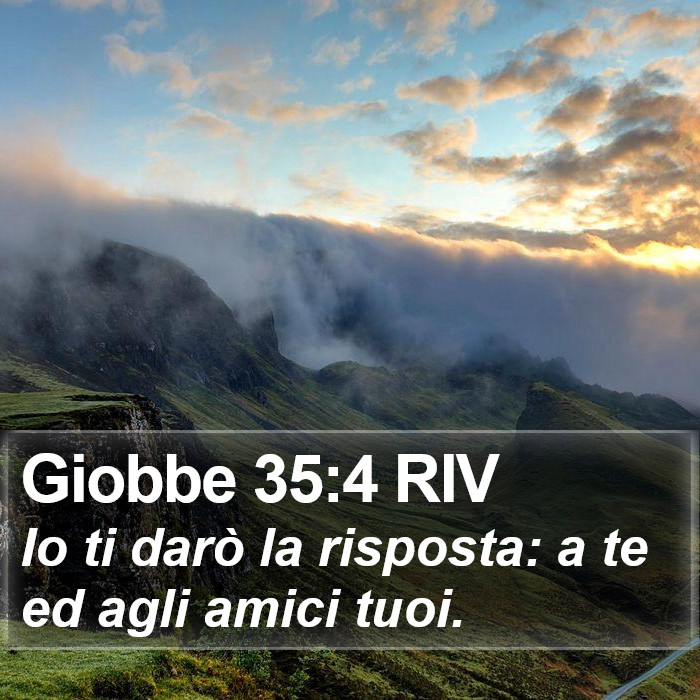 Giobbe 35:4 RIV Bible Study