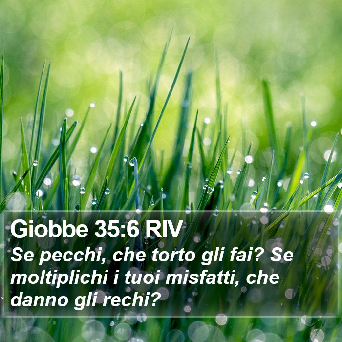 Giobbe 35:6 RIV Bible Study