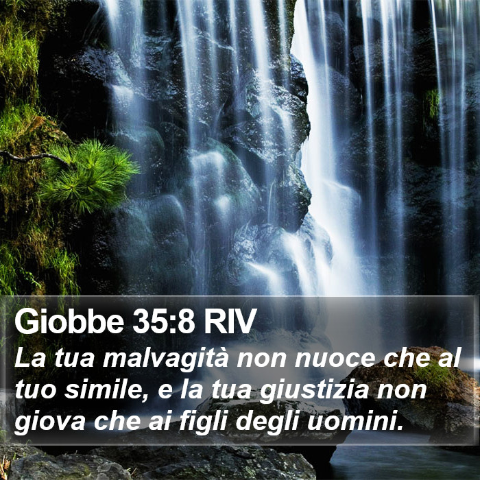 Giobbe 35:8 RIV Bible Study