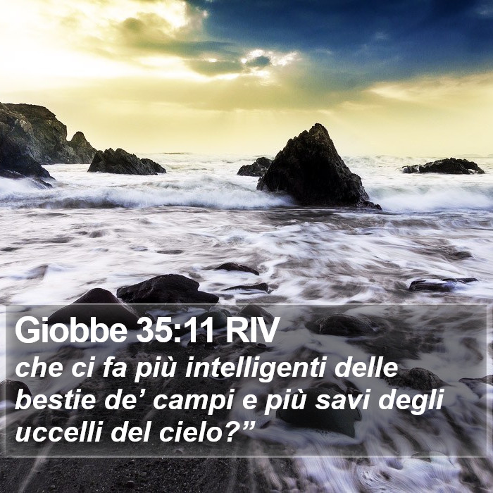 Giobbe 35:11 RIV Bible Study