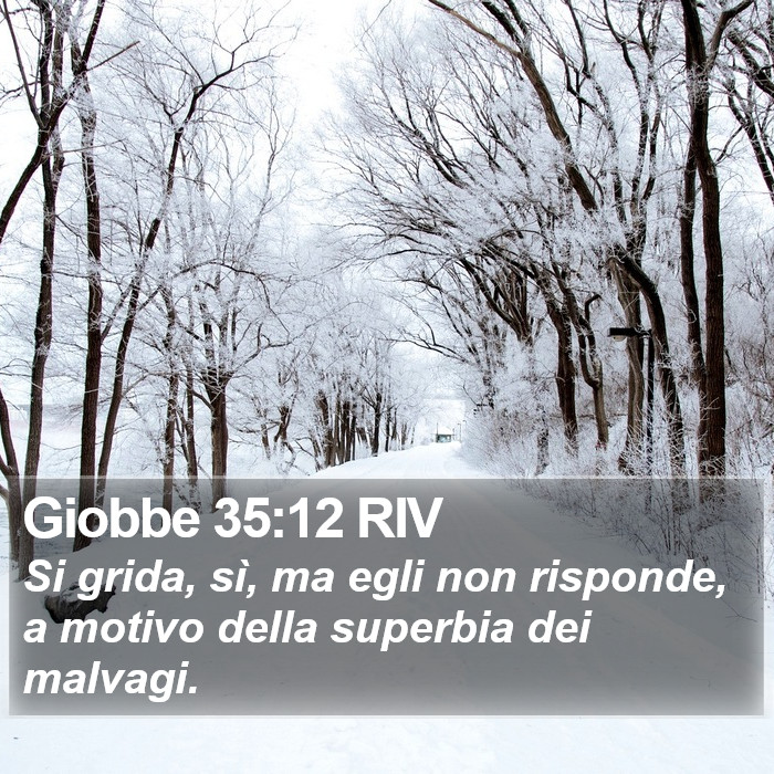 Giobbe 35:12 RIV Bible Study