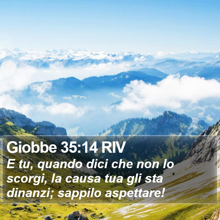 Giobbe 35:14 RIV Bible Study