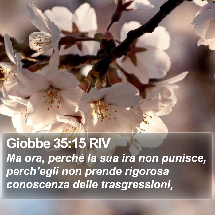 Giobbe 35:15 RIV Bible Study