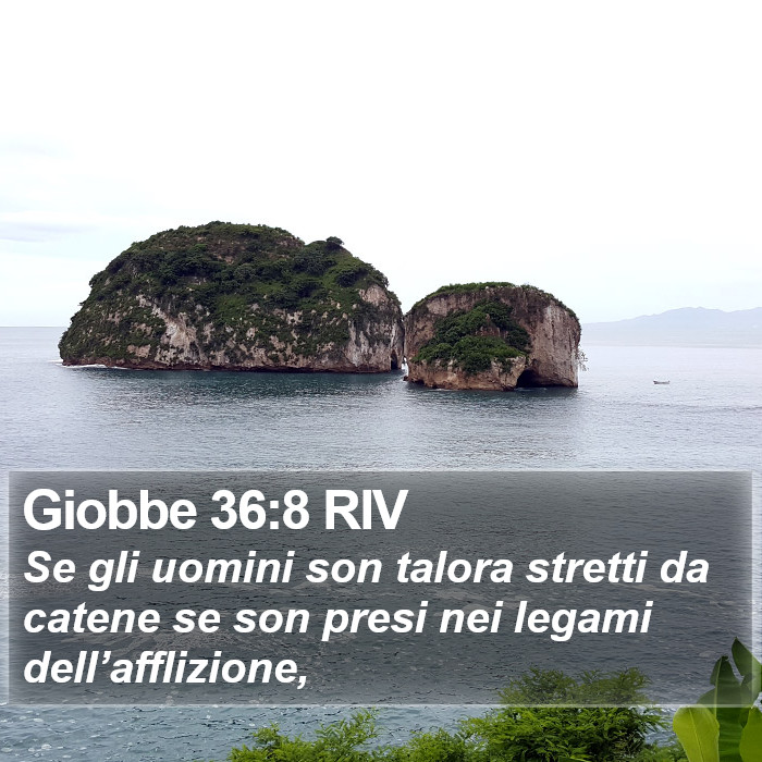 Giobbe 36:8 RIV Bible Study