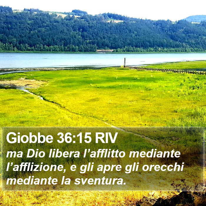 Giobbe 36:15 RIV Bible Study