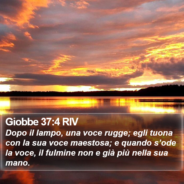 Giobbe 37:4 RIV Bible Study