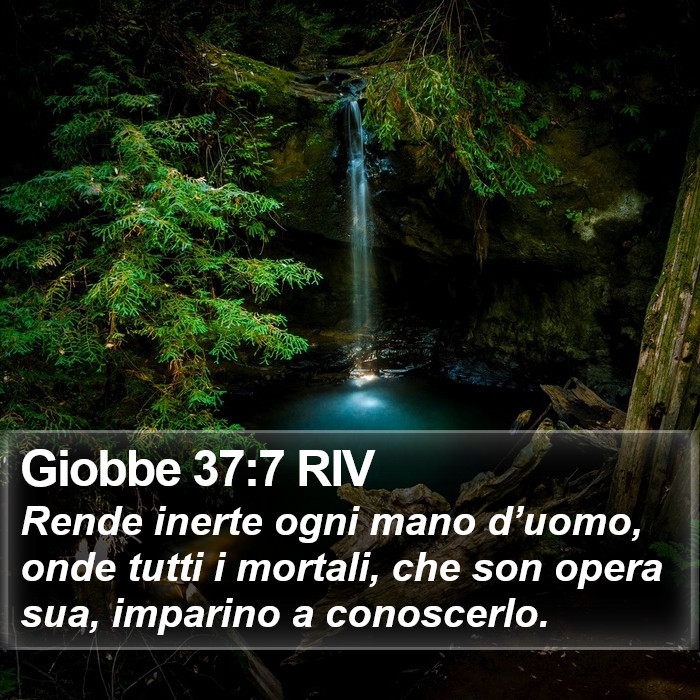 Giobbe 37:7 RIV Bible Study