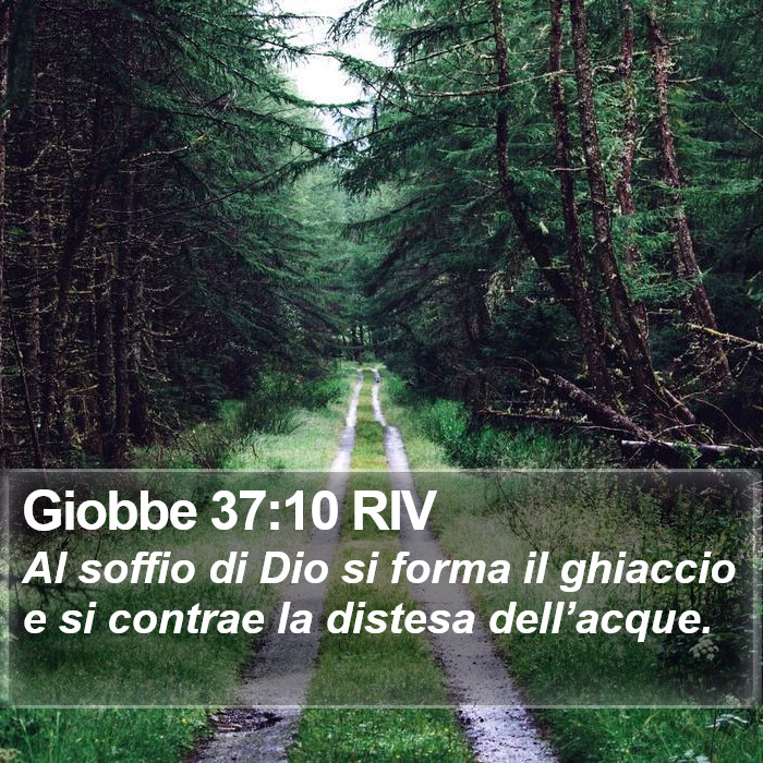 Giobbe 37:10 RIV Bible Study
