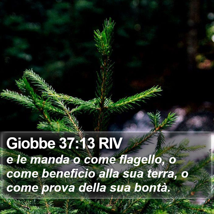 Giobbe 37:13 RIV Bible Study