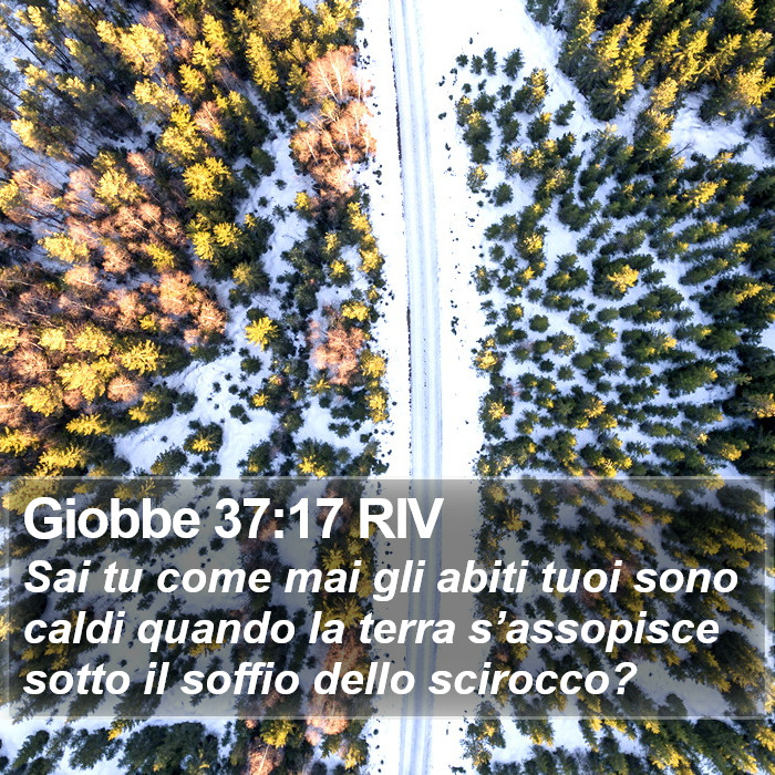 Giobbe 37:17 RIV Bible Study