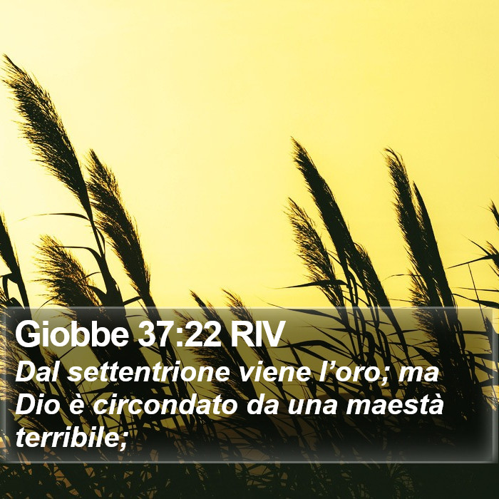 Giobbe 37:22 RIV Bible Study