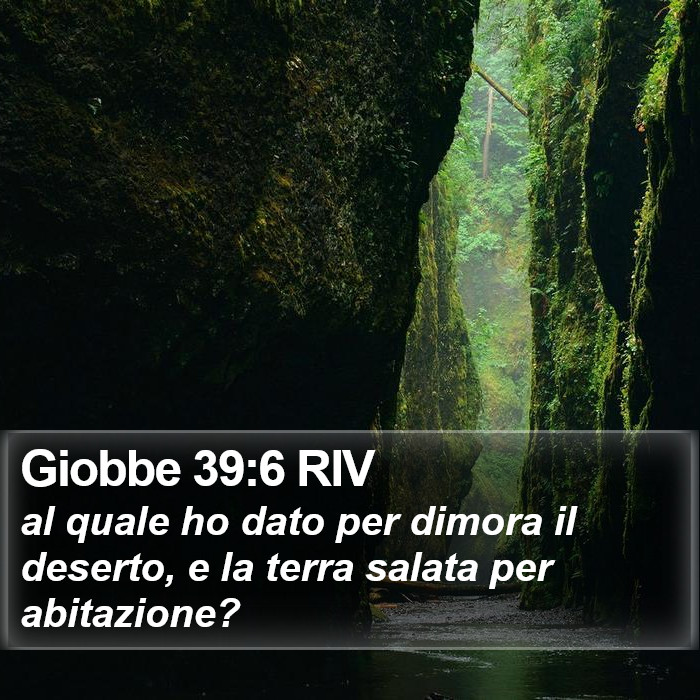 Giobbe 39:6 RIV Bible Study