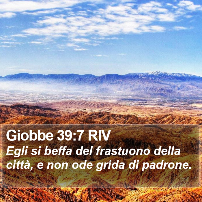 Giobbe 39:7 RIV Bible Study