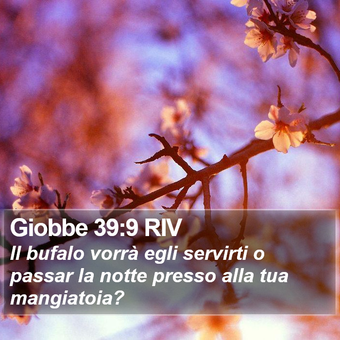 Giobbe 39:9 RIV Bible Study