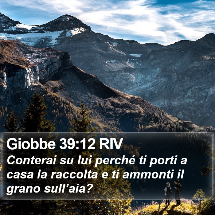 Giobbe 39:12 RIV Bible Study