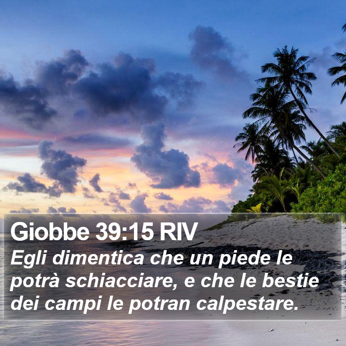 Giobbe 39:15 RIV Bible Study