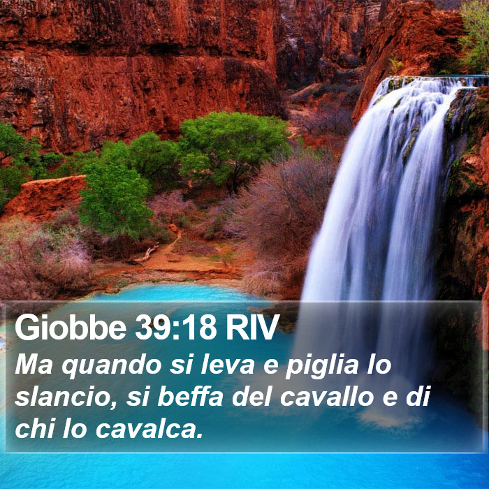 Giobbe 39:18 RIV Bible Study