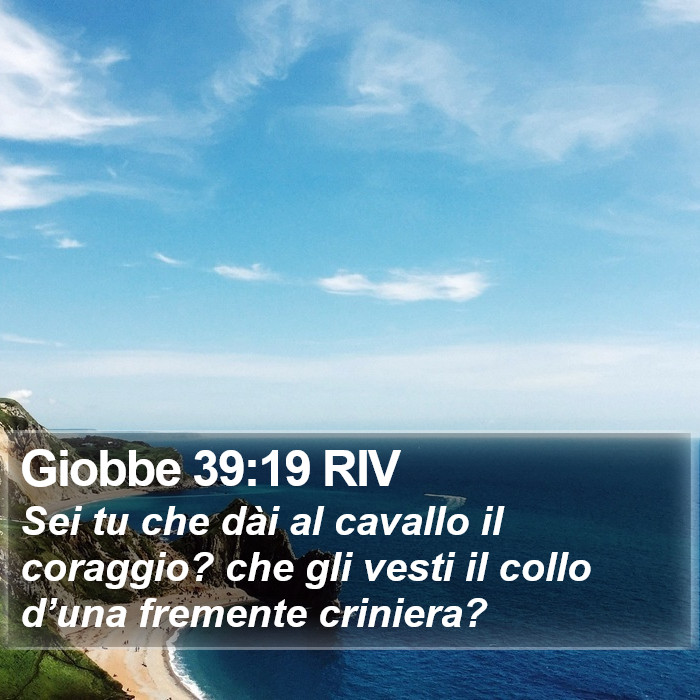 Giobbe 39:19 RIV Bible Study