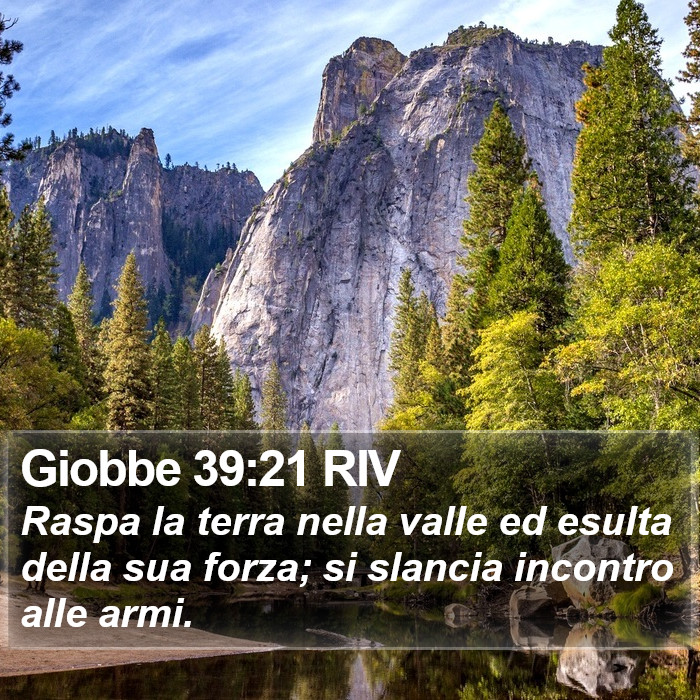 Giobbe 39:21 RIV Bible Study