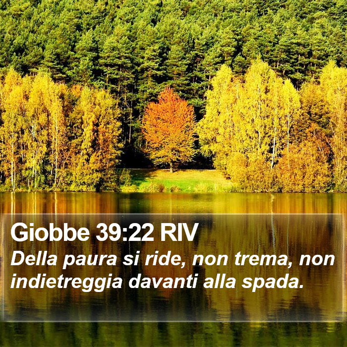 Giobbe 39:22 RIV Bible Study